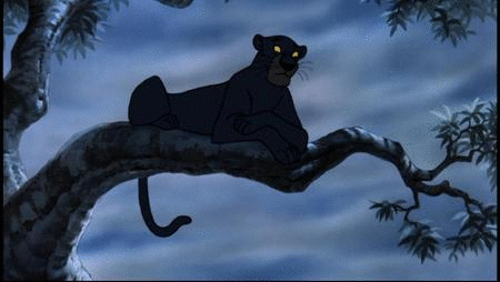 Image result for BAGHEERA GIFS